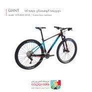 دوچرخه کوهستان برند جاینت مدل 2017 - Giant FATHOM 29ER 0
